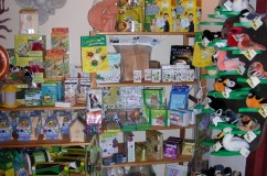 Kids Corner