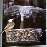 The Backyard Naturalist recommends a window feeder like Droll Yankees OWF for Junior Birders.