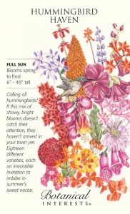 Annuals, biennials and perennials. Your garden haven for hummingbirds will not only attract and provide nectar for the tiny, bright creatures, but also present you with a glorious array of vivid floral colors that will last spring to fall for your enjoyment as well.