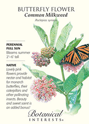 The Backyard Naturalist's Butterfly Flower Common Milkweed Irresistible Blend