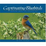 Captivating Bluebirds: A book by Stan Tekiela. Stunning photos of Bluebirds with concise informative and entertaining writing. Available from The Backyard Naturalist store in Olney, Maryland.
