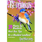 Book cover,  Enjoying Bluebirds More, book written by Julie Zickafoose. Buy it from The Backyard Naturalist store in Olney, Maryland.