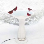 Classic design heated bird bath attracts a crowd of cardinals in winter.