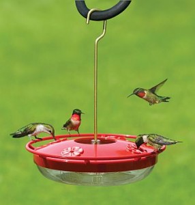BYN's Favorite Humminbird Feeder: The Aspect's Highview Hummzinger
