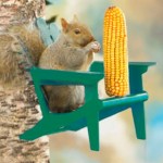 The Backyard Naturalist Adirondack Chair Squirrel Feeder