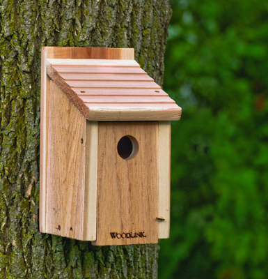 The Backyard Naturalist has traditional cedar Bluebird nesting boxes/houses.