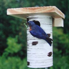 Gilbertson Bluebird Nest Box