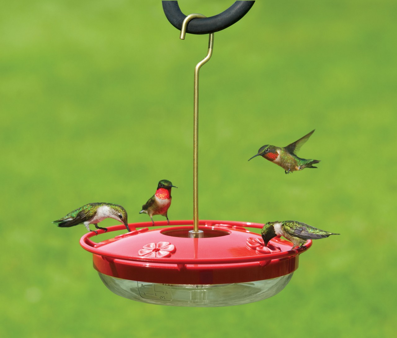 Details about   Triple Window Nectar DOTS Red on Red HummingBird Feeder Free Shipping 