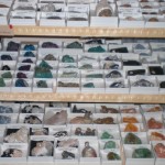 The Backyard Naturalist has rock, crystal, mineral and fossil specimens for every level of rock hound or rock collector.