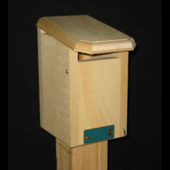 Bluebird Slot Nest Box