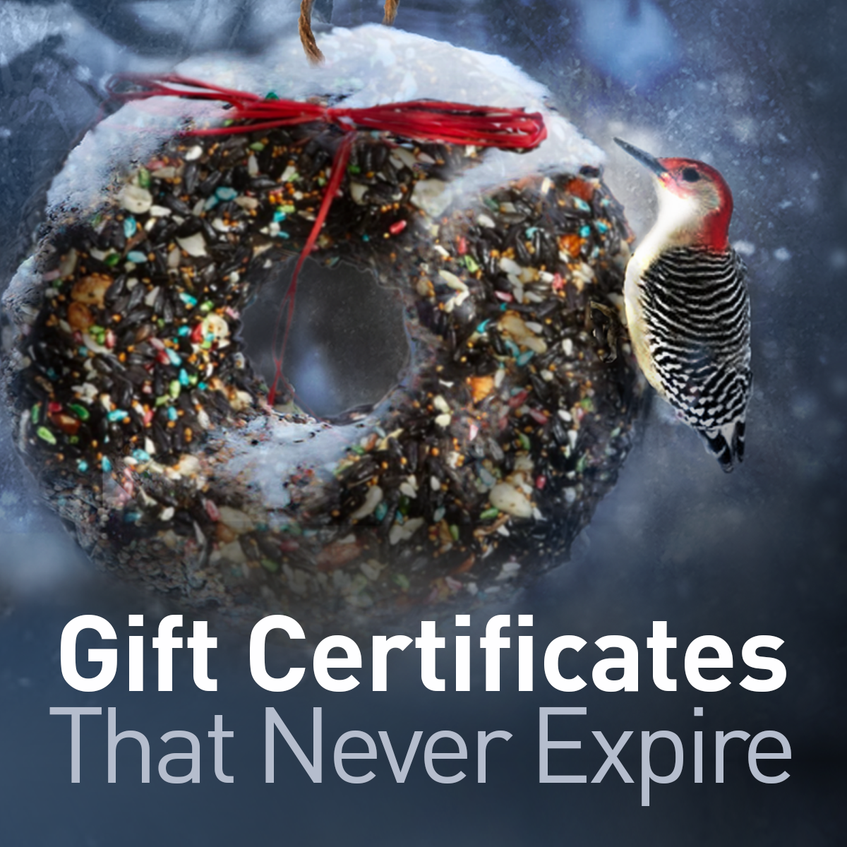 The Backyard Naturalist, in Olney, Maryland, has Gift Certificates That Never Expire. If you like, we can mail them for you. Please note that we don't do e-commerce or ship our products. Come see us!