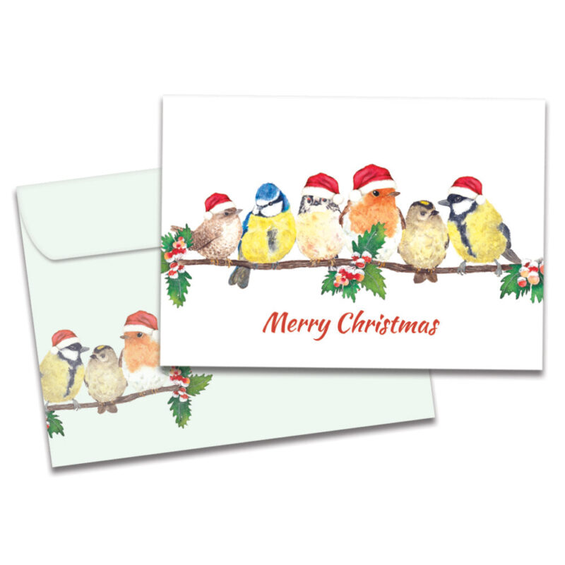 The Backyard Naturalist stocks Tree Free Greeting cards for all occasions, including Christmas and Hanukkah.