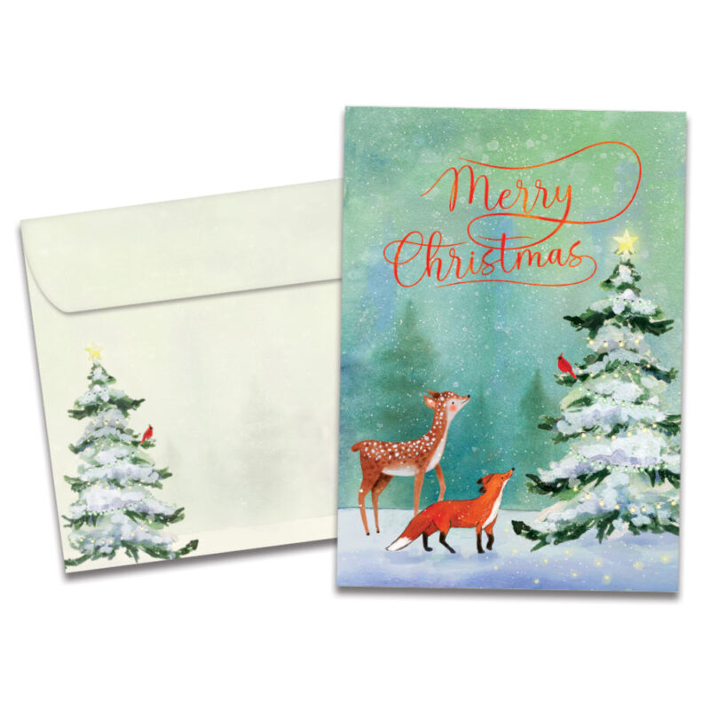 The Backyard Naturalist stocks Tree Free Greeting cards for all occasions, including Christmas and Hanukkah.