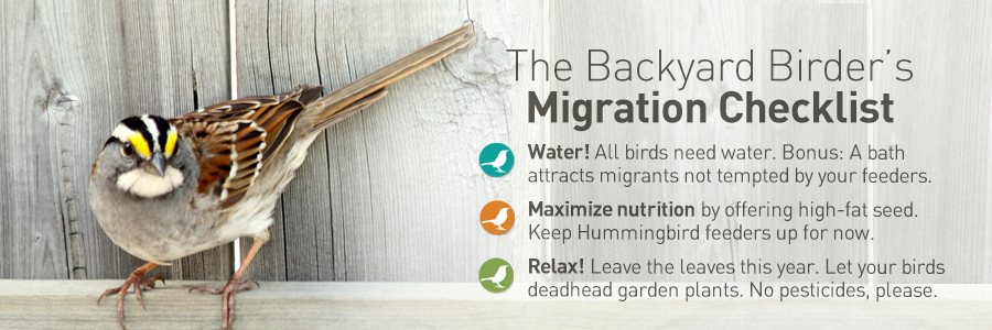 The Backyard Naturalist Fall Migration Checklist for 2022. Focus on the Essential Habitat Elements: Food-Maximize nutrition. Water-Baths clean and filled. Shelter- Relax! Don't rake or deadhead plants. No pesticides, please!