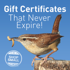 Gift Certificates That Never Expire