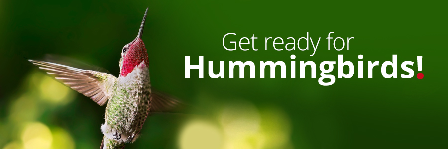 Hummingbirds NOW! 2026 - Are your feeders ready for these MIRACULOUS tiny travelers? They're arriving road-weary and hungry. Greet them with clean feeders and fresh nectar.