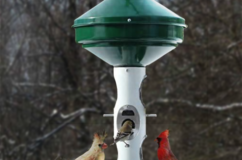 Large Capacity Mixed Seed Feeder