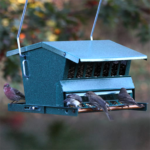 The Backyard Naturalist recommends the Squirrel Proof/Large Bird Resistant Seed Feeder made by Woodlink, has large seed capacity and adjustable weight limit for heavier birds.