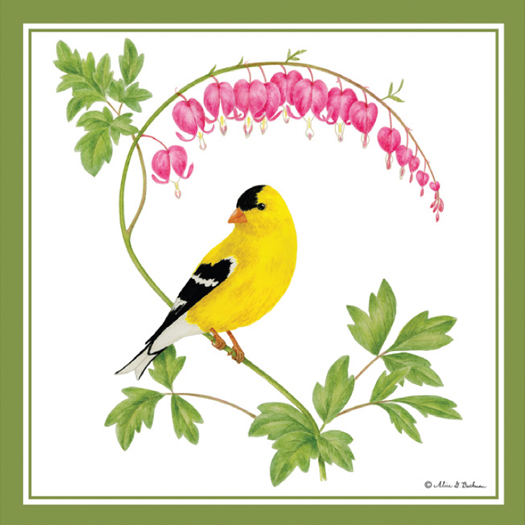 Alice's Cottage quality kitchen textiles feature Marylander Alice Backman's original artwork, including this design new for 2022Alice's Cottage quality kitchen textiles feature Marylander Alice Backman's original artwork, including this design new for 2022, Goldfinch Perches on Cyclamen Branch, lovely florals.