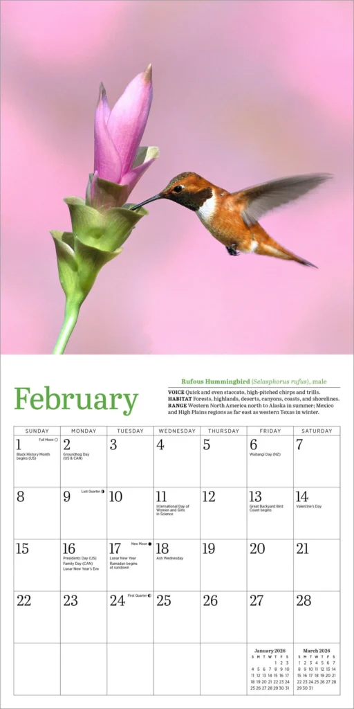 The Backyard Naturalist in Olney, MD has 2026 nature calendars in stock, including Audubon, Sierra Club, Lang, Workmans Press and many others.