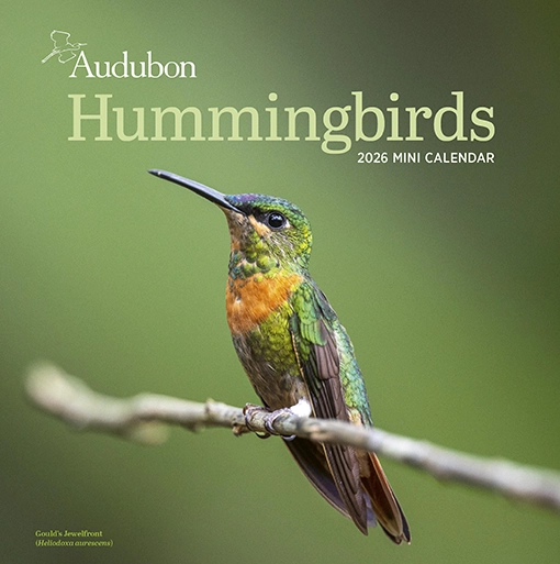 The Backyard Naturalist in Olney, MD has 2026 nature calendars in stock, including Audubon, Sierra Club, Lang, Workmans Press and many others.