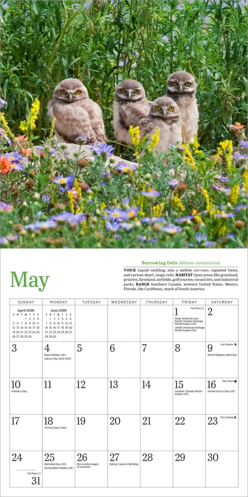 The Backyard Naturalist in Olney, MD has 2026 nature calendars in stock, including Audubon, Sierra Club, Lang, Workmans Press and many others. 