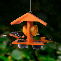 Recycled Double Fruit and Jelly Oriole Feeder