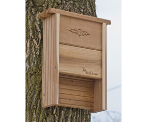 The Backyard Naturalist has Bat houses and shelters in stock. Support these unsung heroes/native pollinators.