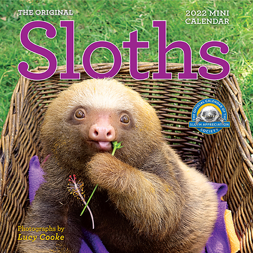 The 2022 mini calendar 'Sloths' is here! The Backyard Naturalist in Olney, MD.
