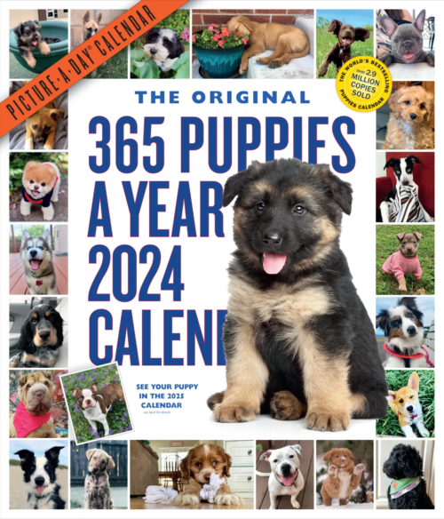365 Puppies a Year 2024 Calendar is here. The Backyard Naturalist has 2024 calendars in stock, including Audubon Birds, Songbirds, Kids Birding, Nature, 365 Kittens or Puppies, Sloths, Tiny Owls and more in Wall, Mini, Engagements, Pocket Planners and Page-A-Day formats.