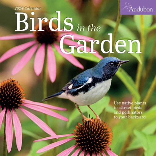 Audubon's Birds in the Garden Calendar is here. The Backyard Naturalist has 2024 calendars in stock, including Audubon Birds, Songbirds, Kids Birding, Nature, 365 Kittens or Puppies, Sloths, Tiny Owls and more in Wall, Mini, Engagements, Pocket Planners and Page-A-Day formats.