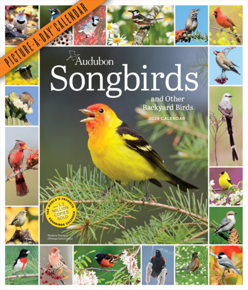 Audubon's Songbirds Picture-A-Day Wall Calendar is here. The Backyard Naturalist has 2024 calendars in stock, including Audubon Birds, Songbirds, Kids Birding, Nature, 365 Kittens or Puppies, Sloths, Tiny Owls and more in Wall, Mini, Engagements, Pocket Planners and Page-A-Day formats.