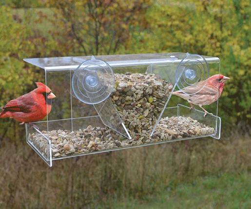 The Backyard Naturalist has the Clear View Deluxe Window Feeder in stock.