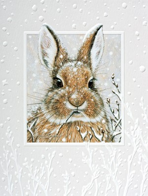 Holiday Greeting Cards, 2023 at The Backyard Naturalist, including 'Cool Cottontail'
