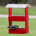 The Backyard Naturalist stocks Wooden Hopper Feeders like the BE142 Double Option Platform hanging feeder in red.