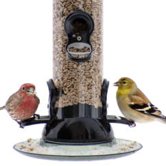 Droll Yankees Onyx Clever Clean and Fill Sunflower and Nyjer (Thistle) Feeders