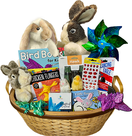 Easter Basket Magic at The Backyard Naturalist store