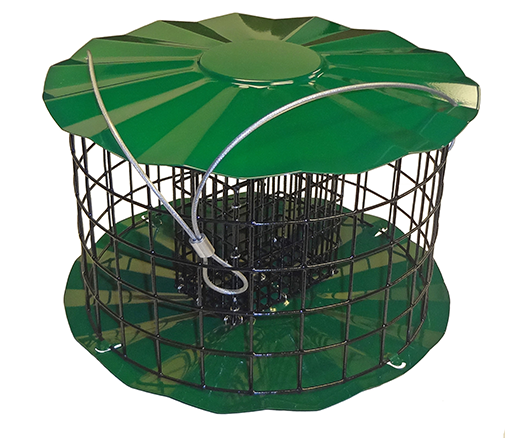 TheBYN-Erva-Barrier-Squirrel-Starling-Double-Suet-Cake-Feeder - The