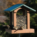 The Backyard Naturalist carries Woodlink's Going Green suet and seed hopper feeders. Made from recycled materials.