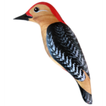 The Backyard Naturalist has Gary Starr's hand carved and painted wild bird ornaments, including Red-bellied Woodpecker