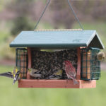 The Backyard Naturalist carries Woodlink's Going Green suet and seed hopper feeders. Made from recycled materials.