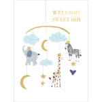 Welcome Sweet Boy [New Baby Greeting Card at The Backyard Naturalist]