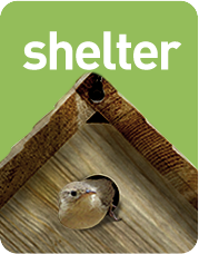 The Backyard Naturalist's Guide to Backyard Habitats & SHELTER - one of three simple elements.