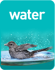 The Backyard Naturalist's Guide to Backyard Habitats & WATER - one of three simple elements.