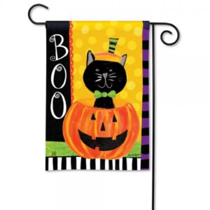 The Backyard Naturalist has DC Metro area's best selection of decorative garden flags for every holiday and special occasion. Featured here: Boo, Kitty! Black cat inside jack-o-lantern says "Boo!"