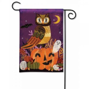 The Backyard Naturalist has DC Metro area's best selection of decorative garden flags for every holiday and special occasion. Featured here: Halloween Owl and More in a Patchwork Style