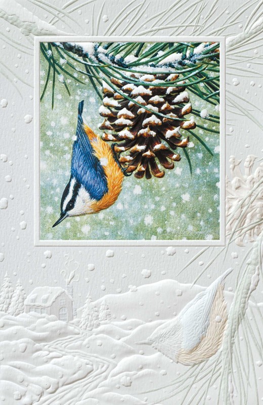 Holiday Greeting Cards, 2023 at The Backyard Naturalist, including 'Hanging Around'