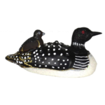 The Backyard Naturalist has Cobane Glass BIrd Holiday Ornament, Mama Loon with Baby
