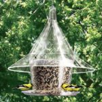 The Backyard Naturalist has squirrel-resistant feeders and offers tips on placement and strategy.