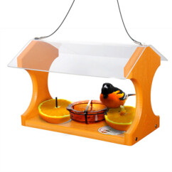 Going Green Recycled Oriole and Bluebird Feeder